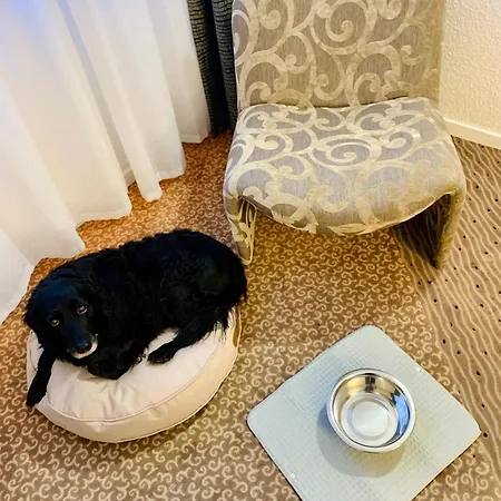 Chantereyne Cherbourg-en-Cotentin