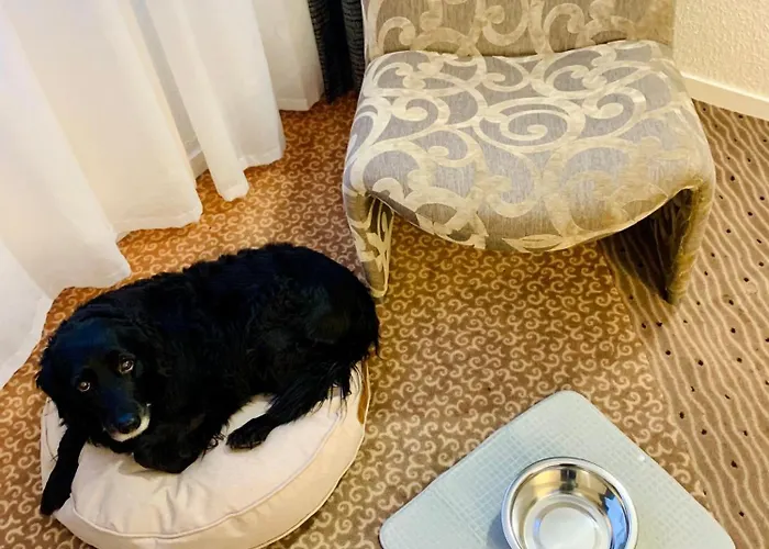 Chantereyne Cherbourg-en-Cotentin